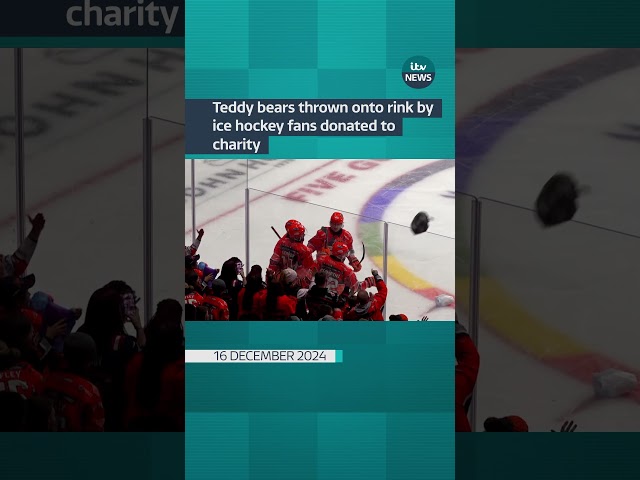 ⁣Teddy bears thrown into rink by ice hockey fans donated to charity #itvnews #shorts