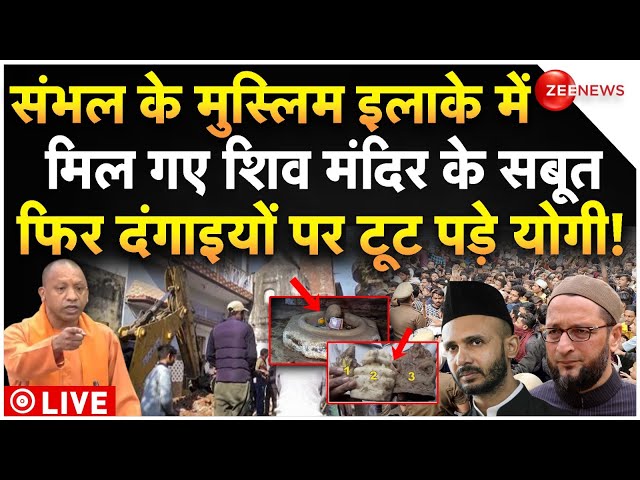 ⁣CM Yogi Big Action On Sambhal Mosque LIVE : संभल में मिले शिव मंदिर के सबूत, योगी का एक्शन शुरू!