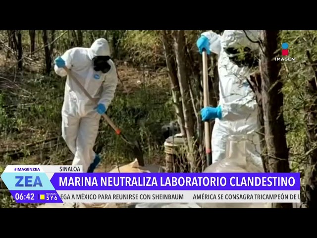 ⁣La Marina localiza y desmantela un laboratorio clandestino en Sinaloa | Noticias con Francisco Zea