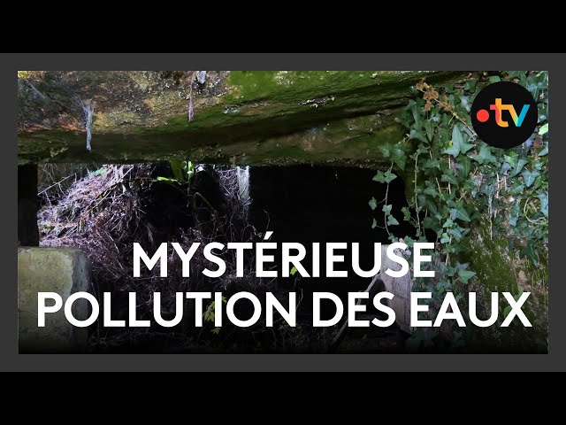 ⁣Une mystérieuse pollution des eaux à Espiet, en Gironde