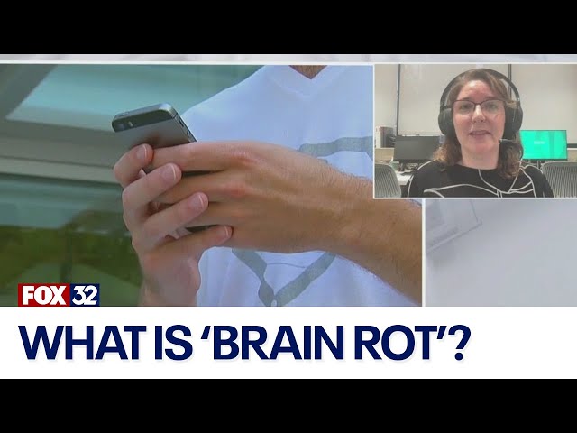 ⁣Doctor explains what 'brain rot' is and how to avoid it