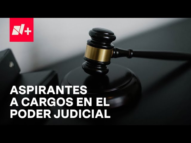 ⁣Elección Judicial: ¿Cuántos aspirantes a juzgadores hay? - Despierta