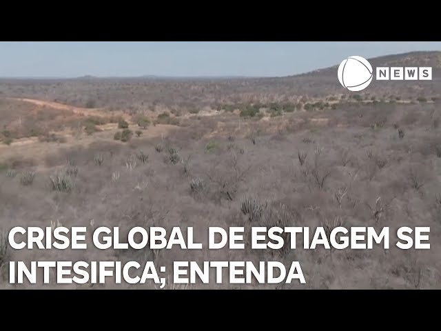 ⁣Conexão Verde: Uma área equivalente a quatro campos de futebol vira deserto a cada segundo no mundo