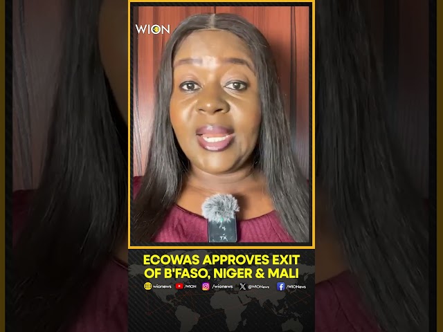 ⁣ECOWAS Crisis: West African Regional Bloc Approves Exit Of Burkina Faso, Mali & Niger | WION Sho