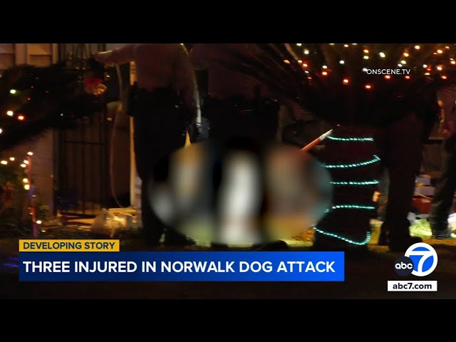 ⁣3 hospitalized with injuries after dog attack in Norwalk