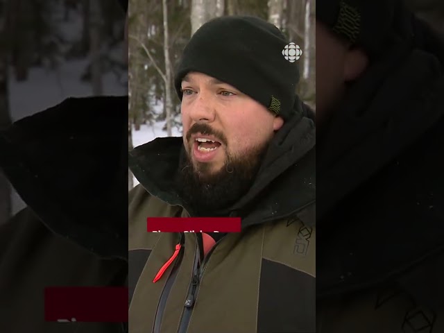 ⁣Mieux se préparer à réagir aux avalanches - Vidéojournal Gaspésie–Îles-de-la-Madeleine