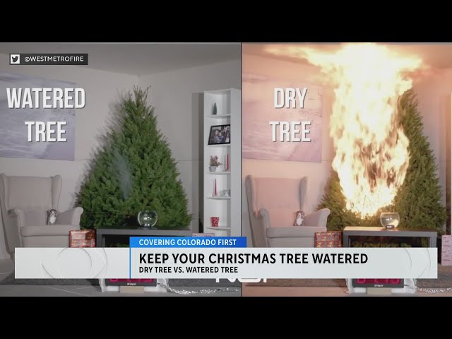 ⁣West Metro Fire Rescue issues reminder about watering your live Christmas tree