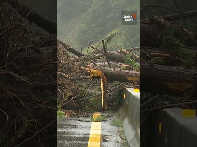 ⁣BC mudslide: One person dead, another missing after home swept away