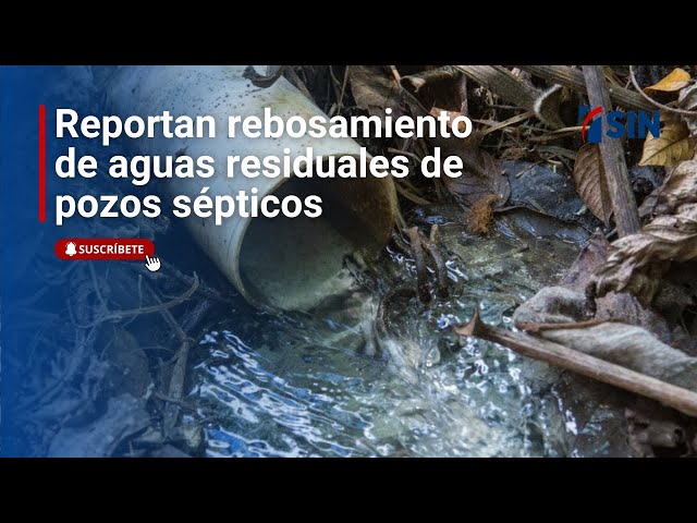 ⁣Basura por doquier | Noticias #SINyMuchoMás: 16/12/2024