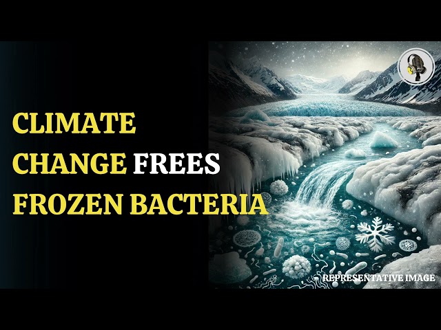 ⁣Climate Change Frees Frozen Bacteria | WION Podcast