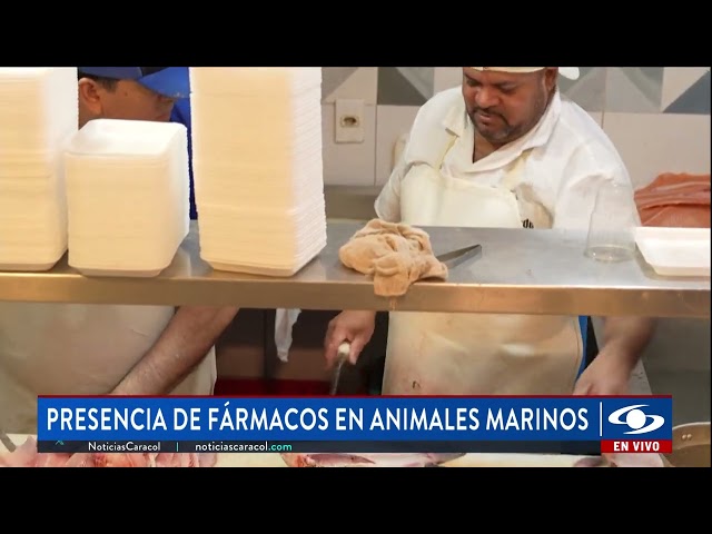 ⁣Animales marinos aparecen contaminados con fentanilo y cocaína