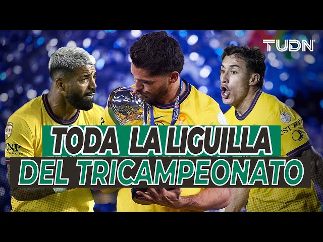 ⁣¡EL CAMINO DEL TRICAMPEÓN!  Mega resumen de TODA la LIGUILLA del América en el Apertura 2024 | TUDN