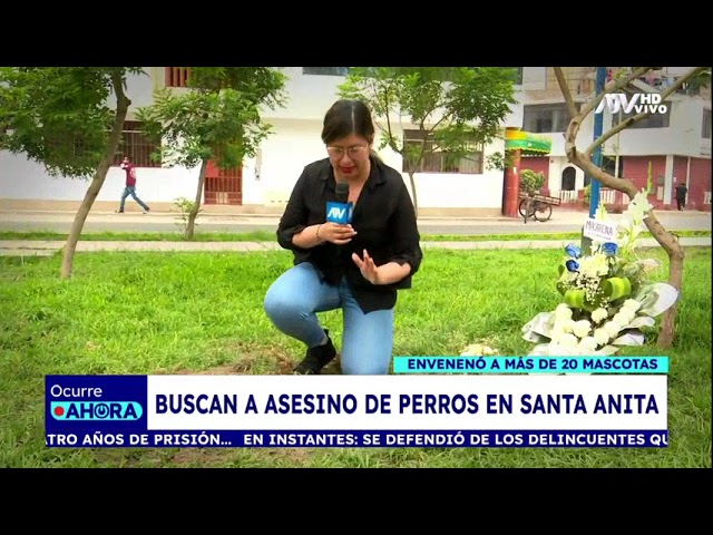 ⁣Santa Anita: Buscan a sujeto que envenenó a más de 20 mascotas