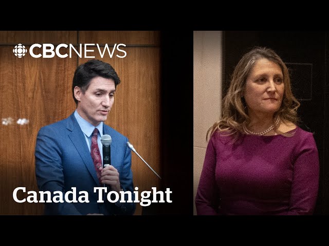 ⁣Freeland's departure an indictment of Trudeau’s treatment of women, former MP says | Canada Ton