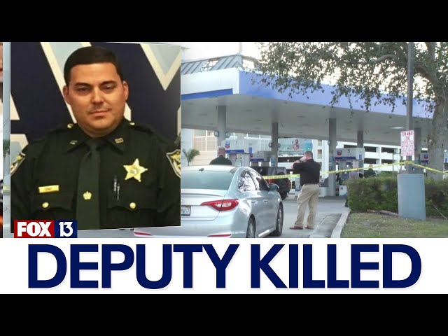 ⁣Florida deputy shot and killed during traffic stop