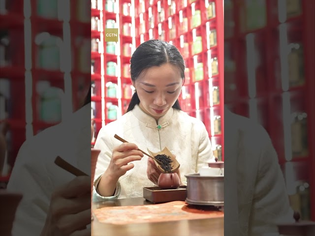 ⁣The essence of Chaozhou: Kung fu tea ritual and Dancong Oolong tea