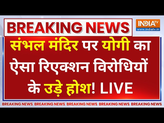 ⁣CM Yogi Reaction On Sambhal Temple LIVE: संभल मंदिर पर योगी का ऐसा रिएक्शन विरोधियों के उड़े होश!