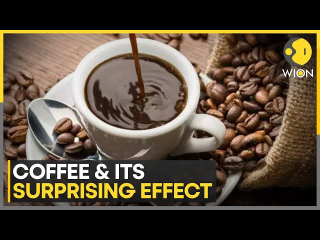 ⁣Study Reveals Coffee Helps in Supporting Gut Bacteria | World News | WION