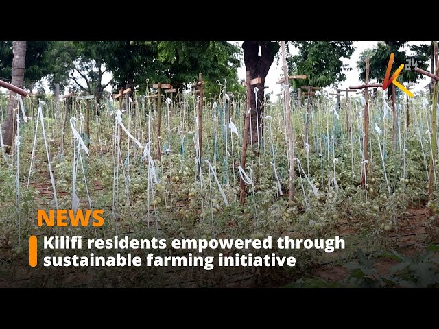 ⁣Over 800 Kilifi residents benefit from sustainable farming training project