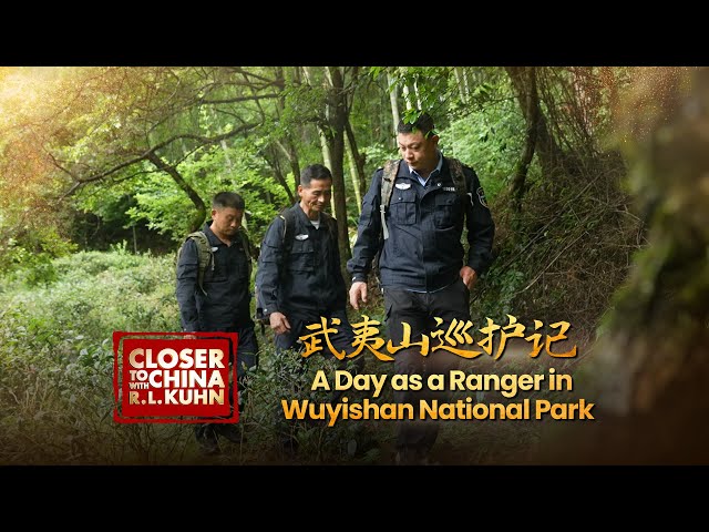 ⁣A day as a ranger in Wuyishan National Park