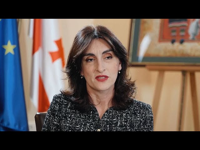 ⁣Georgia aims to restore territorial integrity peacefully, says minister