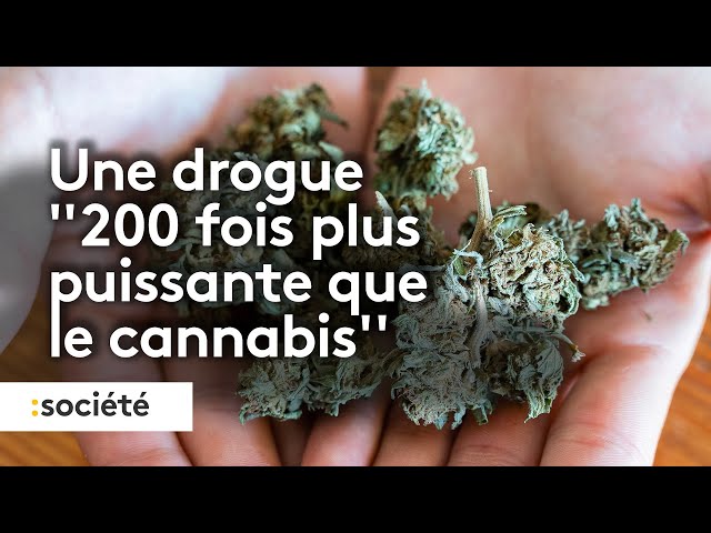 ⁣"Pète ton crâne" : la nouvelle dr*gue qui se vapote