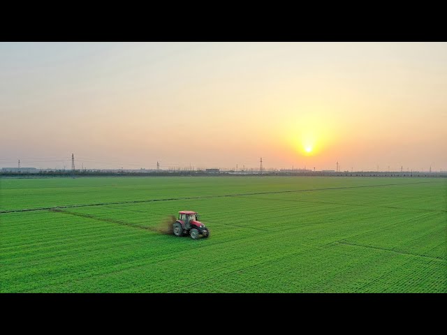 ⁣La Chine organisera une conférence centrale sur le travail rural