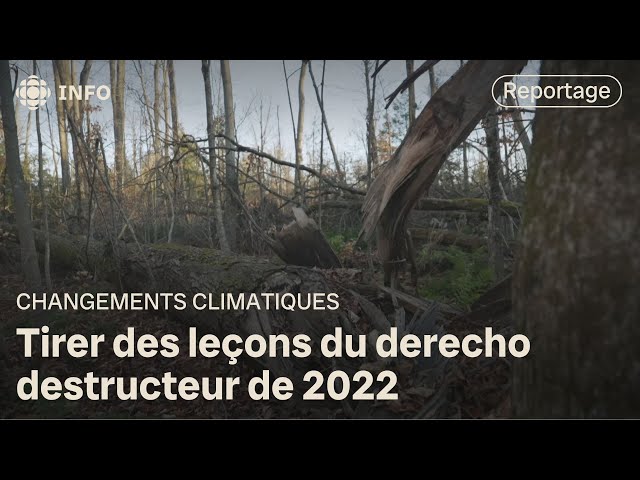 ⁣Des boisés plus résistants aux changements climatiques | La semaine verte