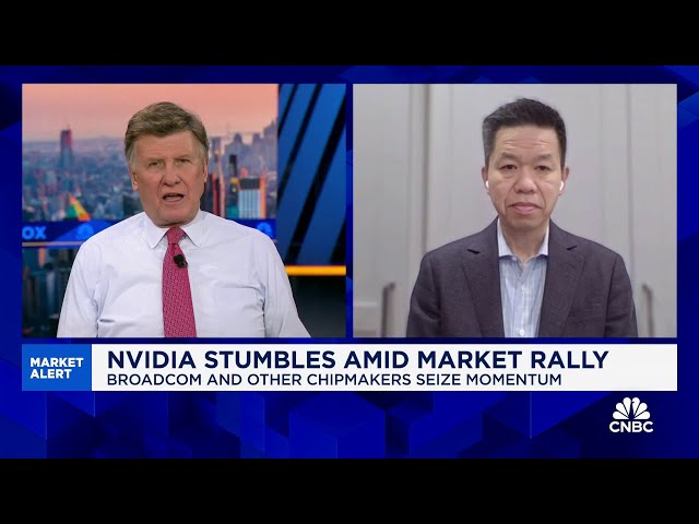 ⁣Nvidia stumbles amid market rally: Here's what to know