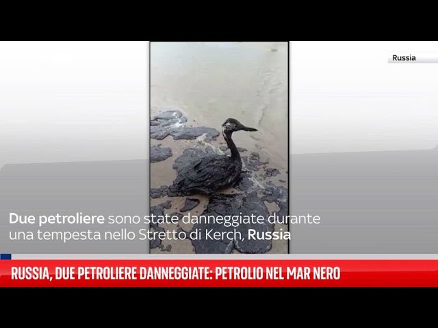 ⁣Russia, due petroliere danneggiate: petrolio nel Mar Nero