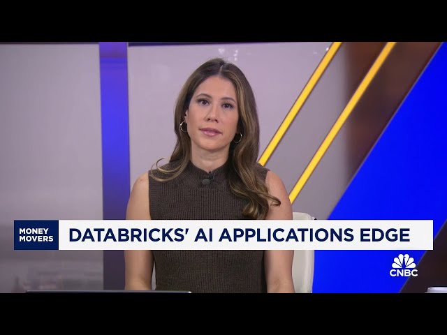 ⁣Databricks' mega funding round