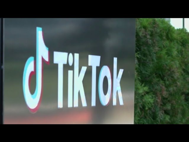 ⁣TikTok fights back against looming ban