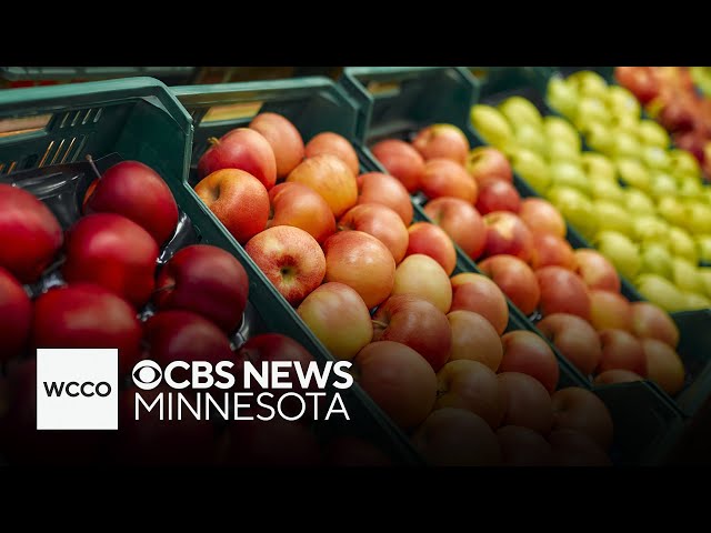 ⁣Free grocery store, Today’s Harvest, opens in Maplewood