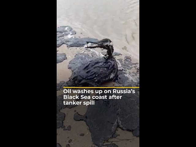 ⁣Oil washes up on Russia’s Black Sea coast after tanker spill | AJ #shorts