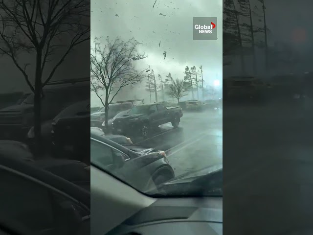 ⁣Caught on camera: Tornado rips through California town ️#tornado