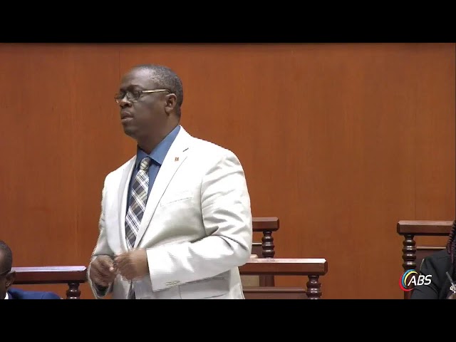 ⁣ANTIGUA & BARBUDA SENATE DEBATE ON THE 2025 BUDGET - AFTERNOON SESSION (Tuesday December 17th 20