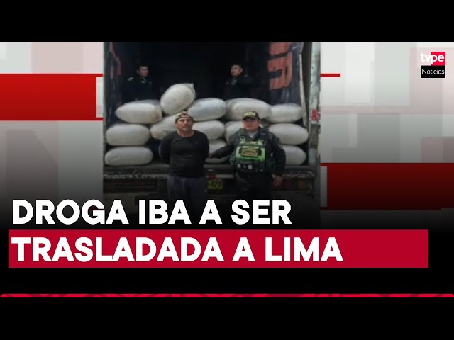 ⁣Trujillo: incautan 400 kilos de marihuana camuflados en sacos