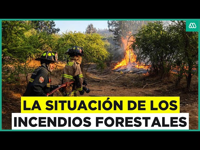 ⁣Prevención de Incendios Forestales y Gestión del Calor