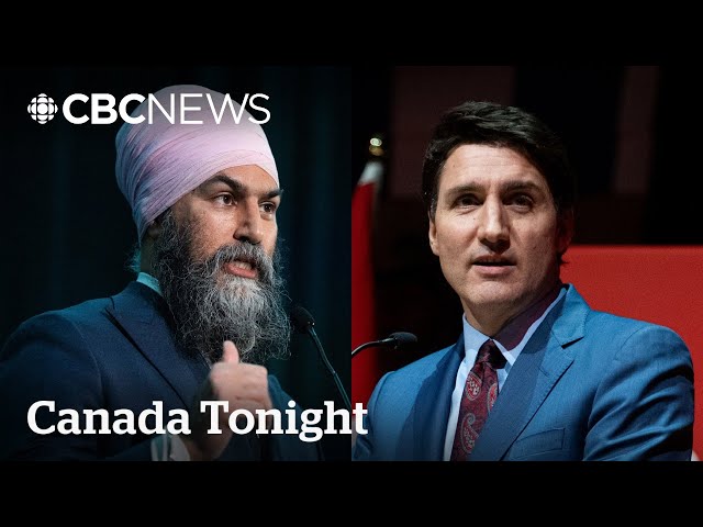 ⁣Jagmeet Singh in a ‘difficult situation’ for non-confidence vote: former NDP MP | Canada Tonight