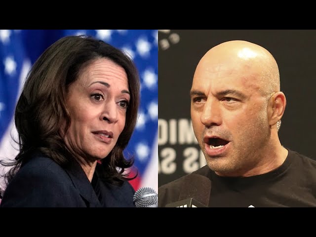 ⁣Kamala Harris made a ‘big mistake’ by turning down Joe Rogan’s podcast invitation