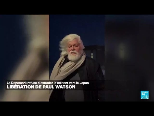 ⁣Le défenseur des baleines Paul Watson, détenu au Groenland, a été libéré de prison