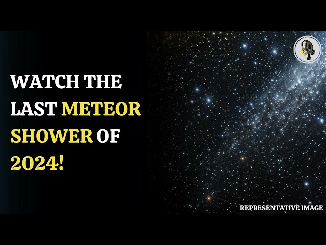 ⁣Watch The Ursid Meteor Shower: 2024's Final Celestial Show | WION Podcast