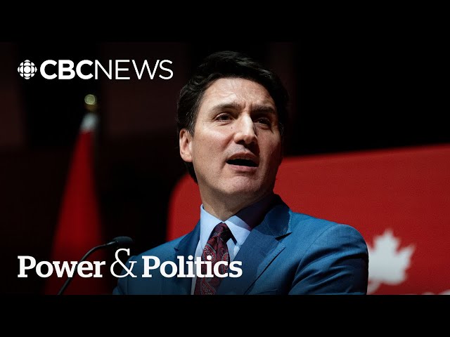 ⁣'It pains me to do this': More Liberal MPs call for Trudeau's resignation | Power &am