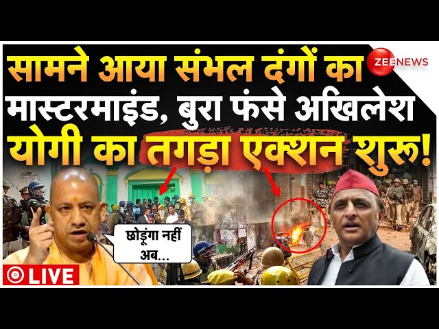 ⁣Yogi Biggest Action On Akhilesh Yadav LIVE: सामने आया संभल दंगों का मास्टरमाइंड, बुरा फंसे अखिलेश!