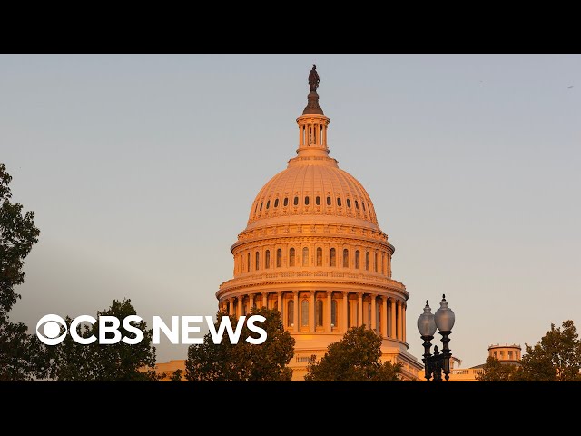 ⁣House Democrats eye midterms, Electoral College votes on 2024 results, more | America Decides