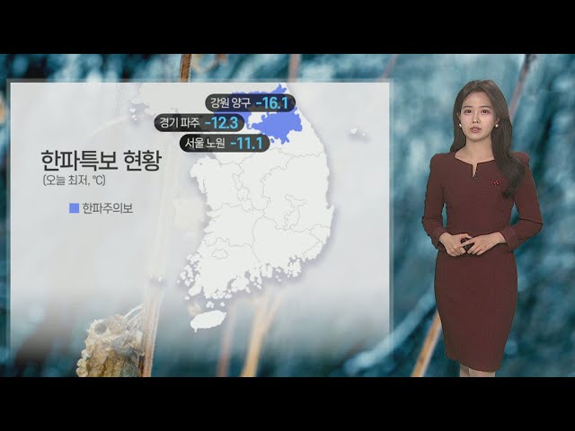 ⁣[날씨] 중북부 곳곳 '한파주의보'…밤사이 동해안 대설 유의 / 연합뉴스TV (YonhapnewsTV)