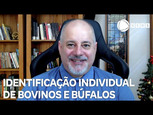 ⁣Governo brasileiro lança plano de identificação individual de bovinos e búfalos