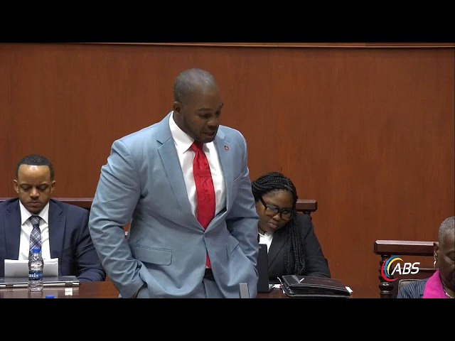 ⁣ANTIGUA & BARBUDA SENATE DEBATE ON THE 2025 BUDGET (Wednesday December 18th 2024)