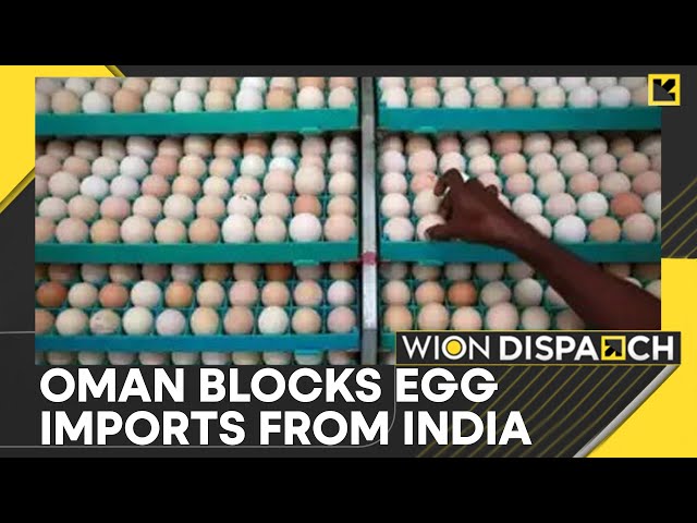 ⁣Oman Stops New Import Permits For Indian Chicken Eggs | World News | WION Dispatch