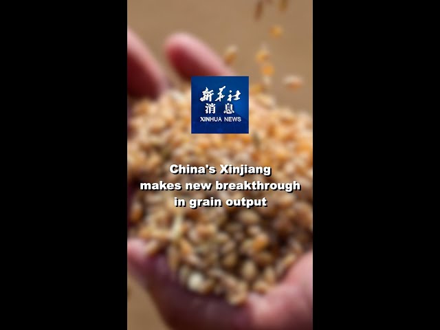 ⁣Xinhua News | China's Xinjiang makes new breakthrough in grain output